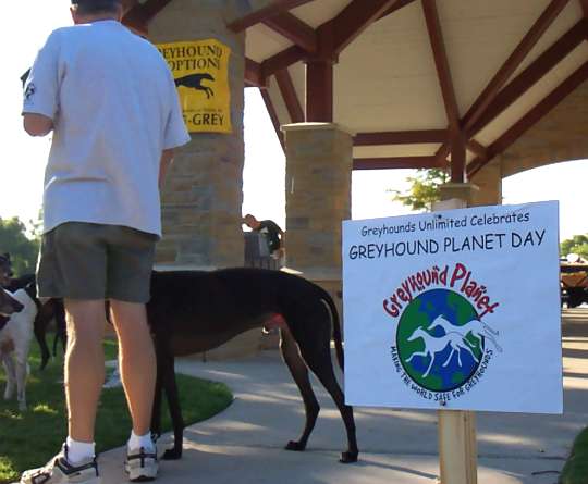GU Celebrates Greyhound Planet Day.