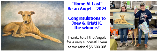 Be An Angel 2024 winner