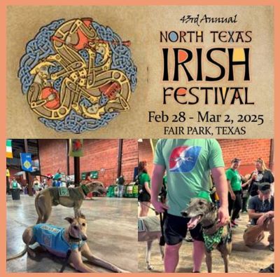 North Texas Irish Festival