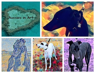 Artwork of Aussie hounds