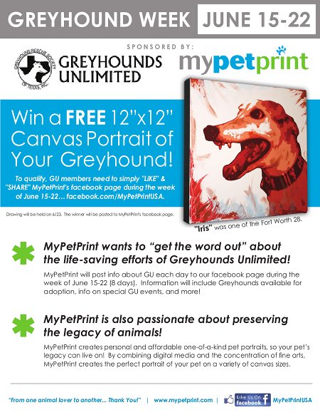 My Pet Print - Greyhound Week
