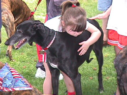 Everyone Loves Greyhounds.