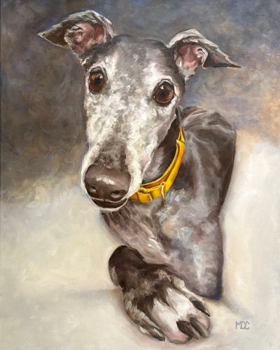 Oil painting of Jimi, the Greyhound