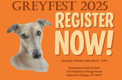 Greyfest 2025 event link to register now