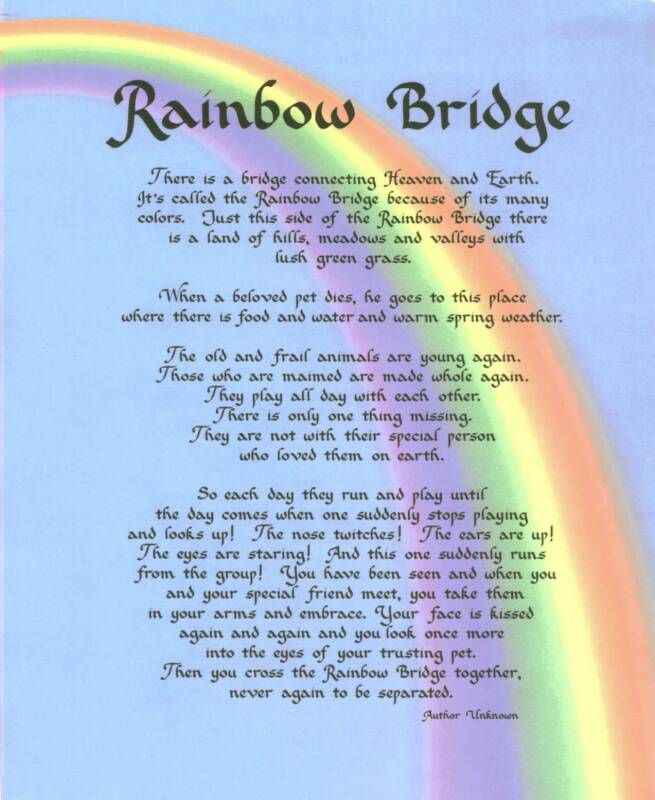 Rainbow Bridge