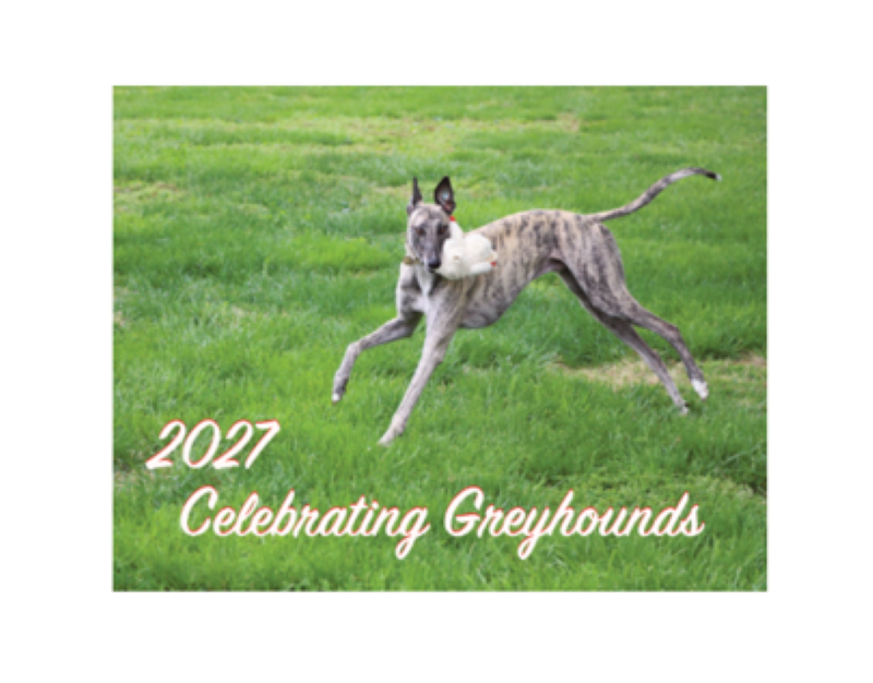 2027 Celebrating Greyhounds Wall Calendar